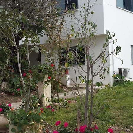 Bed and Breakfast Kibbutz Nachshon Екстер'єр фото