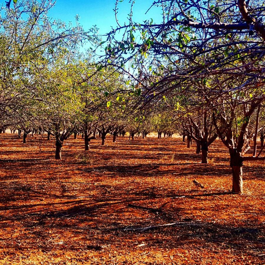 Bed and Breakfast Kibbutz Nachshon Екстер'єр фото