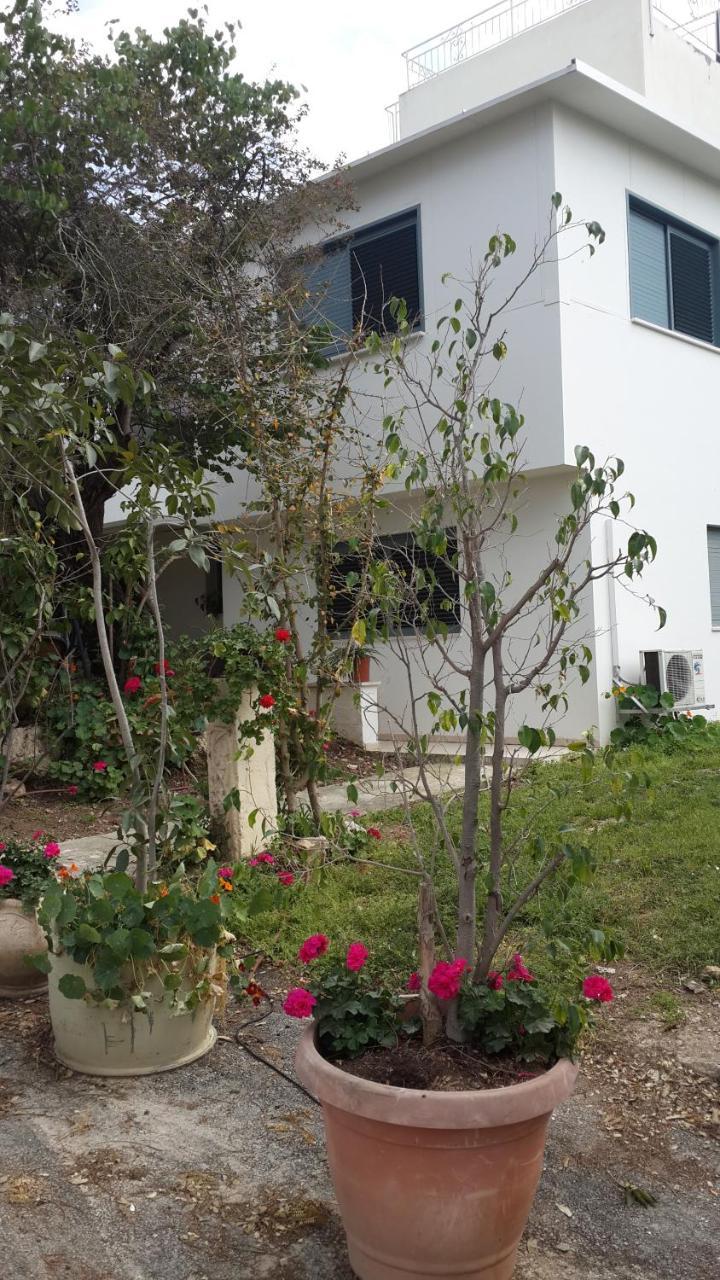 Bed and Breakfast Kibbutz Nachshon Екстер'єр фото